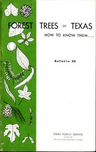 Forest Trees of Texas: How to Know Them book cover