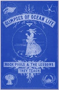 Glimpses of Ocean Life; Or, Rock-Pools and the Lessons they Teach book cover