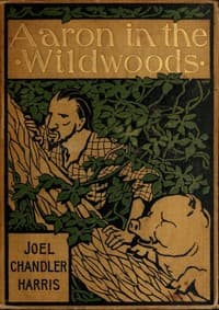 Aaron in the Wildwoods book cover