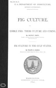 Fig Culture
Edible Figs: Their Culture and Curing. Fig Culture in the Gulf States.
