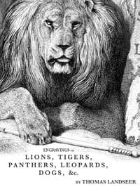 Engravings of Lions, Tigers, Panthers, Leopards, Dogs, &c.