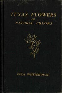 Texas Flowers in Natural Colors