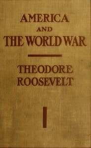 America and the World War