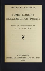 Some Longer Elizabethan Poems book cover