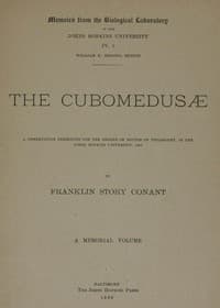 The Cubomedusæ