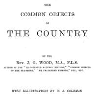 The Common Objects of the Country book cover