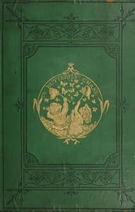 A Butterfly Chase book cover