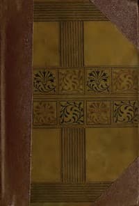 The New Abelard: A Romance, Volume 1 (of 3)