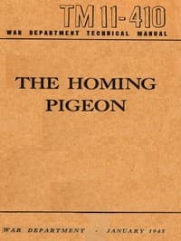 The Homing Pigeon book cover