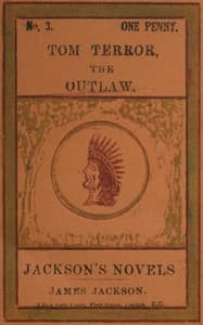 Tom Terror, the Outlaw book cover