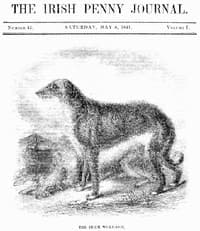 The Irish Penny Journal, Vol. 1 No. 45, May 8, 1841 book cover