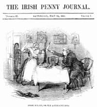 The Irish Penny Journal, Vol. 1 No. 47, May 22, 1841 book cover