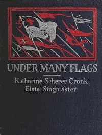 Under Many Flags book cover