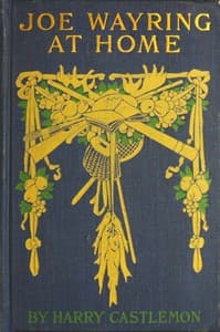 Joe Wayring at Home; or, The Adventures of a Fly-Rod book cover