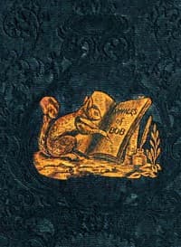 The Travels and Extraordinary Adventures of Bob the Squirrel book cover