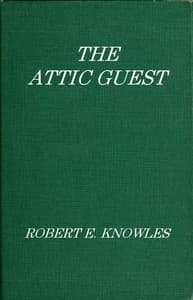 The Attic Guest: A Novel book cover