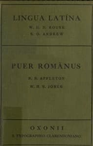 Puer romanus book cover