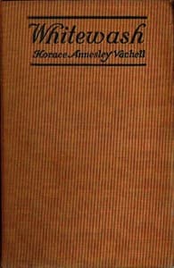 Whitewash book cover