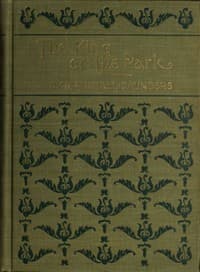 The King of the Park book cover
