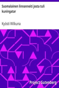 Suomalainen linnanneiti josta tuli kuningatar book cover