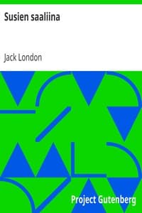 Susien saaliina book cover