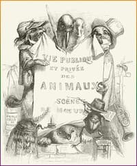 Vie privée et publique des animaux book cover