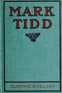 Mark Tidd: His Adventures and Strategies book cover