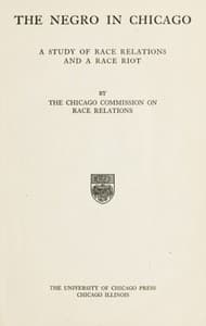 The Negro in Chicago: A Study of Race Relations and a Race Riot book cover