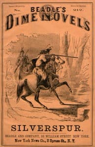 Silverspur; or, The Mountain Heroine: A Tale of the Arapaho Country book cover
