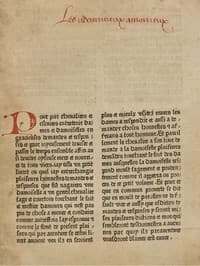 Les adevineaux amoureux book cover
