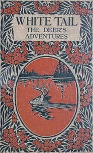 White Tail the Deer's Adventures book cover