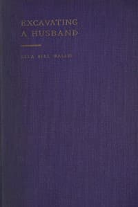 Excavating a Husband book cover