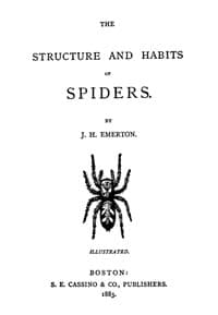 The Structure and Habits of Spiders book cover