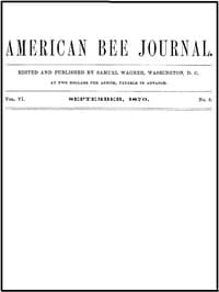 The American Bee Journal, Volume VI, Number 3, September 1870 book cover