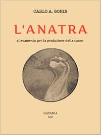 L'anatra: Allevamento per la produzione della carne