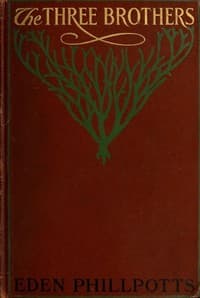 The Three Brothers book cover