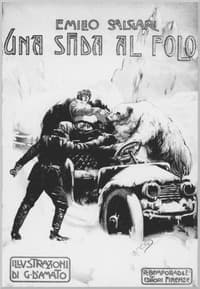 Una sfida al Polo book cover