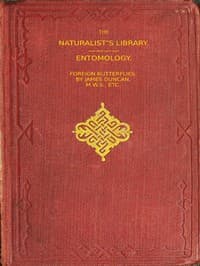 Foreign Butterflies book cover