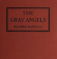 The Gray Angels book cover