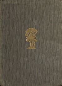 The Witch-Maid, & Other Verses book cover