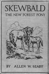Skewbald, the New Forest Pony