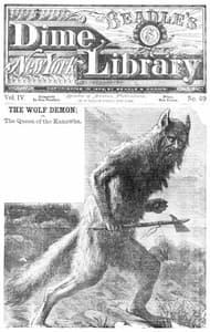 The Wolf Demon; or, The Queen of the Kanawha book cover