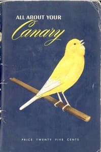 All About Your Canary book cover