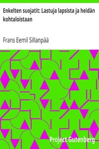 Enkelten suojatit: Lastuja lapsista ja heidän kohtaloistaan book cover