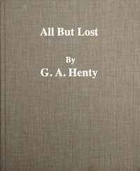 All But Lost: A Novel. Vol. 3 of 3 book cover