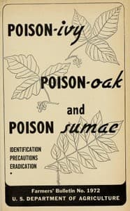 Poison-ivy, Poison-oak and Poison Sumac: Identification, Precautions and Eradication