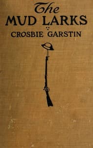The Mud Larks book cover