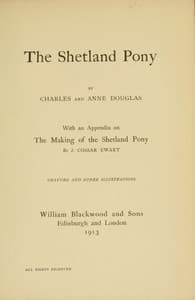 The Shetland Pony