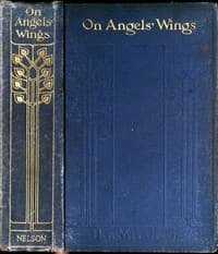 On Angels' Wings book cover