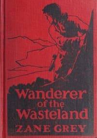 Wanderer of the Wasteland book cover